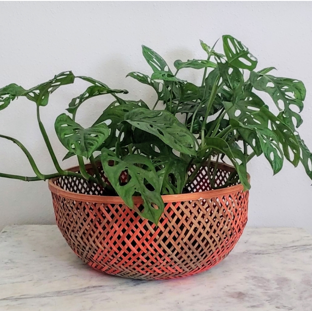 Vintage Large Woven Multicolor Basket